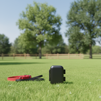 Traceur GPS 4G personnalisable, étanche IP67, avec charge magnétique, WiFi, LBS, AGPS pour chiens et chats