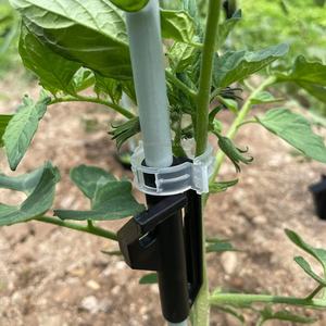 Proveedor de China, varillas flexibles GFRP FRP de fibra de vidrio, estacas de tomate, varillas de aislamiento de fibra de vidrio sólido, fábrica de postes de valla de fibra de vidrio - Product Image 3