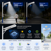 Lampadaire Solaire Tout-en-un en Aluminium Moulé Sous Pression 80W 100W LiFePO4 MPPT LED Étanche IP65 pour Routes Urbaines, Autoroutes, Places Publiques et Collectivités