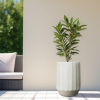 Pot de fleurs de jardin en ciment léger en fibre de style nordique, décoration d'intérieur extérieure avec peinture