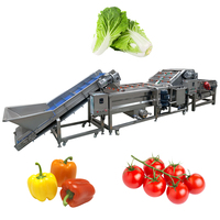 Industriële reinigingsmachine voor de verwerking van fruit en groenten, capaciteit 100-1000 kg voor groente- en fruitkiemen