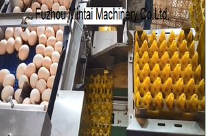 Plateau à œufs automatique, pour stocker les œufs, machine d'emballage de haute qualité, prix d'usine, livraison gratuite - Product Image 4