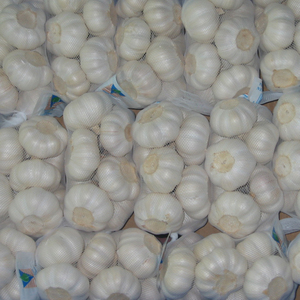 Tỏi tươi hữu cơ chất lượng cao có nguồn gốc trực tiếp từ các nhà sản xuất và xuất khẩu Trung Quốc với giá thấp - Product Image 3