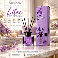 Diffuseur à bâtonnets de style nordique 120 ml avec bouteille en verre transparent et bâtonnets en fibre pour le marché de la parfumerie d'intérieur moderne
