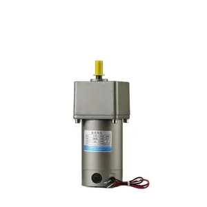 Taili 60mm 10w 6v 12v 24v 36v 48v 100v 200v 220v kalıcı mıknatıs fırçalanmış DC DİŞLİ Motor