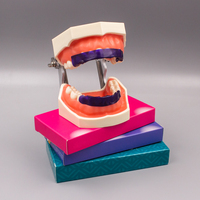 Tiras blanqueadoras de dientes para dientes sensibles Tira sin peróxido al por mayor