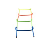 Haute qualité, directement de l'usine, matériau PP TPE durable, obstacle d'entraînement de football, taille et couleur personnalisables, styles multiples