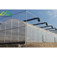 Commerciële multispan kas van polyethyleenfolie en verzinkt staal voor efficiënt kweken van groenten, fruit en bloemen