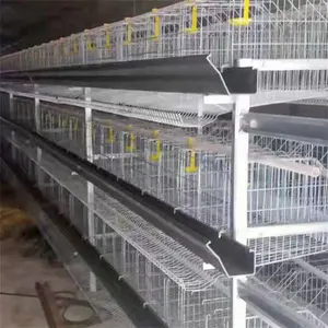 H Type Automatic Layer Chicken Cage System Poultry Farm For Egg Laying Hens