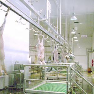 เครื่องจักรสำหรับโรงฆ่าสัตว์ฮาลาล สำหรับแพะและแกะ พร้อมระบบห้องเย็น - Product Image 6