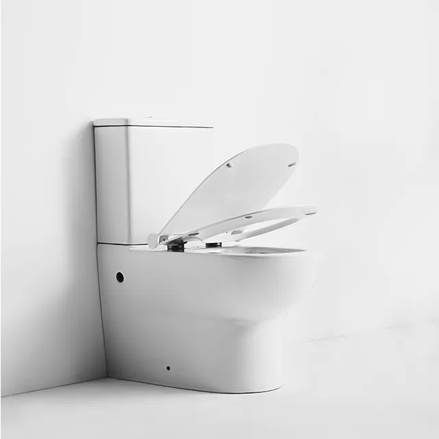 Wasser zeichen Standard randloses wassers pa rendes Badezimmer zweiteilige Toilette