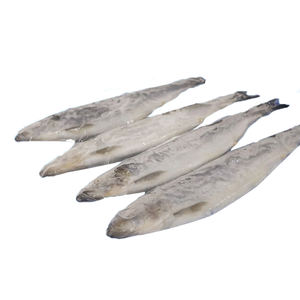来自中国制造商的冷冻鲱鱼（WR(Clupea Pallasii)），适用于进出口业务，具有强大的供应商支持 - Product Image 5