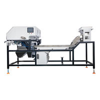 Máquina de clasificación de mineral negro, clasificador de Color de mineral, Nage Ccd