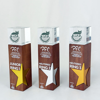 Nouveau trophée en métal en forme d'étoile à cinq branches, médailles en cristal, plaques de récompense avec photo pour les compétitions