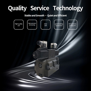 Vente en gros d'électrovanne directionnelle Prance DSHG électro-hydraulique, pression de 31,5 Mpa, garantie d'un an - Product Image 3