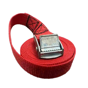 Sangles d'arrimage de cargaison robustes et durables de haute qualité, sangle en polyester, boucle à came, système d'arrimage premium, résistance à la rupture de 800 kg - Product Image 4