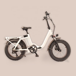 RaiderExpand-45F 50 km/h vitesse vélo pliant vélo électrique 20 pouces gros pneu <span class=keywords><strong>750w</strong></span> 1000W Ebike électrique gros pneu Bik - Product Image 3