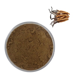 Poudre d'extrait de Cordyceps CS-4/Cordyceps Militaris/Cordyceps Sinensis de haute qualité, emballée sous vide dans un fût - Product Image 3