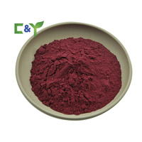 Additifs alimentaires 100% poudre d'extrait de betterave pure poudre de betterave rouge additifs alimentaires et boissons poudre de racine de betterave