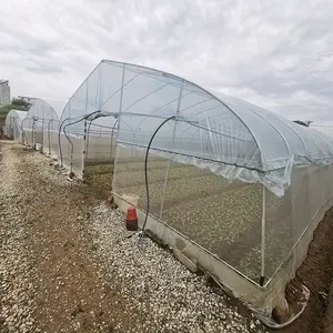 Singola campata politunnel agricoltura agricoltura Invernadero cinese Invernadero serra strutture utilizzate per la vendita