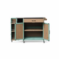 Chariot de bar extérieur vert menthe avec plateau en acier inoxydable et porte-bouteilles, chariot de service roulant pour patio, idéal pour les barbecues et les fêtes en extérieur