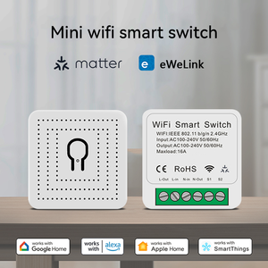 Matter Smart Home Apple Homekit Alexa Google Smarthings pris en charge 16A 2 Way DIY Timer WiFi Breaker Matter Smart Switch On Off - Product Image 2