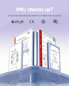 Düşük maliyetli tünel küçük domates sera ticari yeşil evler Film Polytunnel tarım sera çerçeve - Product Image 6