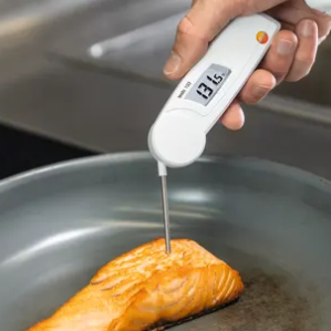 เทอร์โมมิเตอร์วัดอุณหภูมิอาหารแบบพับได้ Testo 103 - Product Image 3