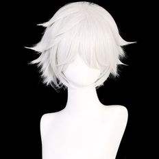 Perruque de pied argenté, coupe courte - Product Image 1