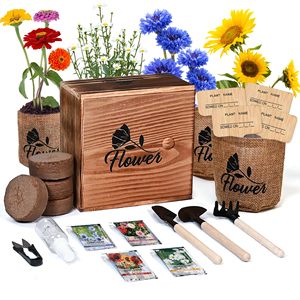 Kit <span class=keywords><strong>de</strong></span> démarrage pour bonsaï d'intérieur 4 en 1 avec kit <span class=keywords><strong>de</strong></span> jardinage complet et boîte en bois pour la culture des bonsaïs - Product Image 1