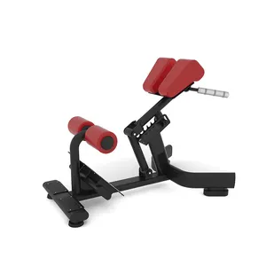 Commercial Fitness Equipment 45 grad Extension Hyperextension Back Exercise Roman Chair