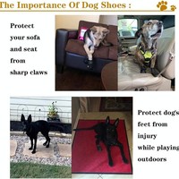 Bottes de neige pour chien avec logo personnalisé, chaussures imperméables, bandes réfléchissantes, semelle antidérapante robuste, chaussures pour animaux de compagnie, chaussures pour pattes de chien