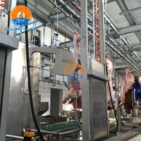 Peralatan Pemotongan Sapi Khusus Muslim untuk Rumah Pemotongan Hewan (RPH) Daging Sapi dengan Sertifikasi Halal Sistem Lini Pemrosesan Kapasitas Tinggi