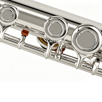 Professional Grade C Tone Flute 16 Keys Closed Holes Silver Plated Finish Surface Concert Flute