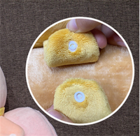 HY2 2 en 1 en peluche Capybara poupée oreiller couverture enfants couverture chaude pour bureau pliant Capybara oreiller couverture