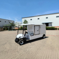 Carrito de Golf Utilitario de 2 Plazas Económico con Motor de CA de 3.5KW para Transporte en Atracciones Turísticas con Entrega Rápida