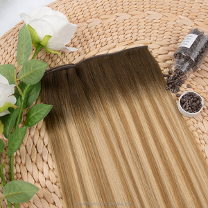 ต่อผมแบบผีเสื้อ สีอ่อน ผมแท้ พร้อมด้วยเทคนิคการต่อแบบ Double Weft Genius Hole Weft - Product Image 1