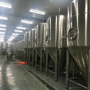 Honglin 200L Nhà máy bia/máy bia/nhà Brew 200L