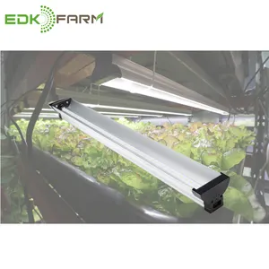 EDK farm manufacture reptiles aquarium fish and hydroponic systems led grow light for sale