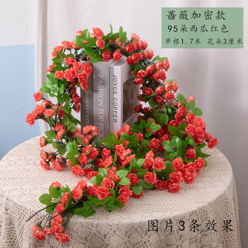 เวอร์ชันเข้ารหัส, ดอกไม้สีแดงแตงโม 95 ดอก