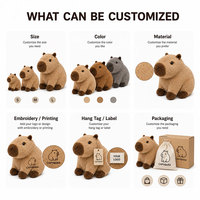 Peluche personnalisée OEM Capybara, jouet en peluche, poupée, broderie de logo personnalisée, cadeau promotionnel, mascotte de marque, fabricant de peluches