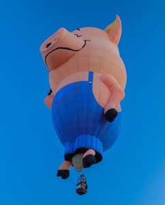<span class=keywords><strong>Ballon</strong></span> publicitaire gonflable géant personnalisé pour festival, <span class=keywords><strong>ballon</strong></span> publicitaire au sol à air chaud - Product Image 2