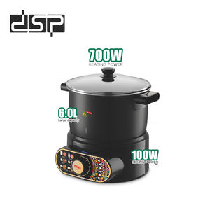 เครื่องปั่นพกพา DSP ขายดี รุ่น OEM สำหรับใช้ในครัวเรือนและโรงแรม สำหรับบดเนื้อ ทำอาหาร และทำอาหารประเภทอื่นๆ  เครื่องทำอาหารร้อนในครัว - Product Image 1