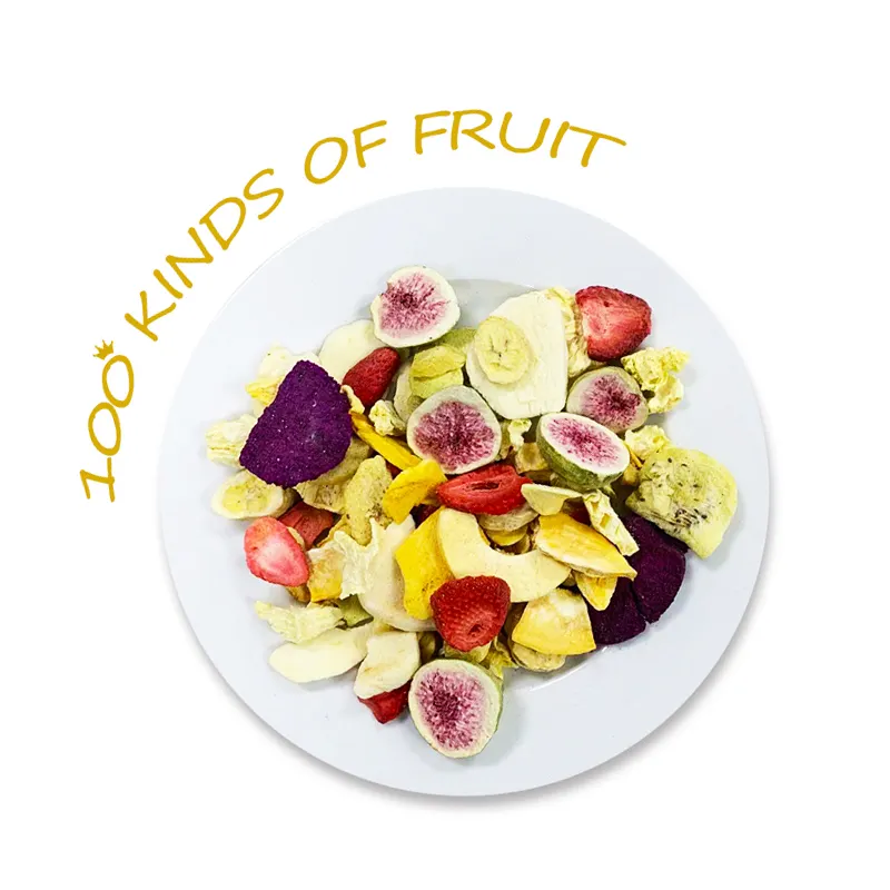 Tropical fd fruit freeze dried dragon fruit chips bulk crispy taste bulk wholesale sweet freeze dried fruit suppliers