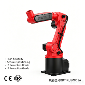 BORUNTE BRTIRUS0805A Bras robotisé industriel à 6 axes avec moteur, charge utile de 5 kg, pour le chargement/déchargement/assemblage et la manutention dans le moulage par injection - Product Image 3