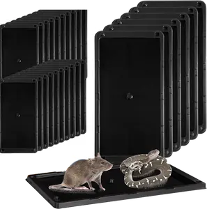 Armadilha adesiva para mouse e ratos, armadilha para insetos, coletor de insetos para cozinha, garagem, catchermaster