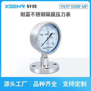 ซูโจวเซียนเซิงเกจวัดแรงดันไดอะแฟรมสแตนเลส YNTP100BF 100 มม. ทนต่อแรงกระแทก DN25 DN50 - Product Image 5