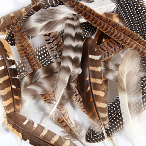 Tự nhiên 4 loại 12pcs Hot Bán chim trĩ lông danh mục đầu tư hat trang trí thủ công mỹ nghệ số lượng lớn chất lượng cao Gà lông - Product Image 1