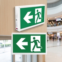 Signalisation de sortie de secours LED rechargeable, indice de protection IP65, montage mural
