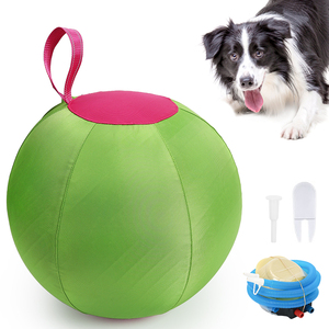 Palline Interattive per Cani DogLemi Ecologiche e Moderne, Stile Classico per Pastore Australiano, Gioco Resistente per Animali Domestici - Product Image 1